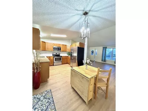 4354 E 117th Pl, Thornton, CO 80233 photo 5