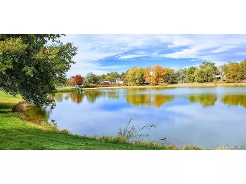 4354 E 117th Pl, Thornton, CO 80233 photo 23