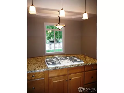 932 N 4th St, Berthoud, CO 80513 photo 9