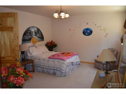 3811 Stone Canyon Rd, Lyons, CO 80540 photo 18