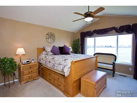 10363 Dahlia St, Firestone, CO 80504 photo 9