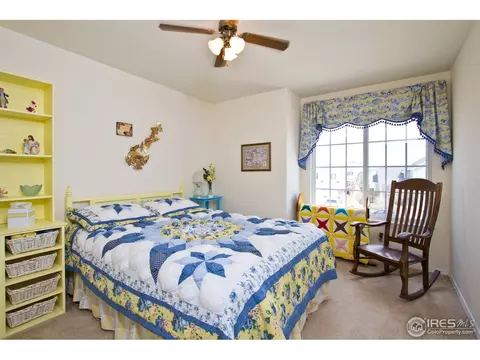 10363 Dahlia St, Firestone, CO 80504 photo 12