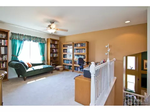 10363 Dahlia St, Firestone, CO 80504 photo 11