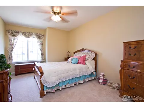 10363 Dahlia St, Firestone, CO 80504 photo 13