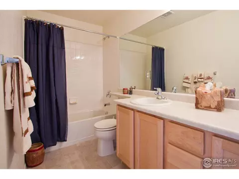 10363 Dahlia St, Firestone, CO 80504 photo 14