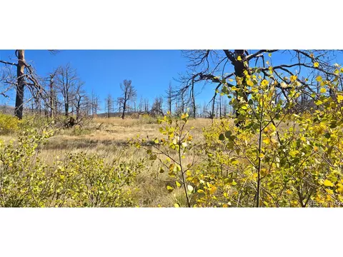 1684 Emery Loop, Fort Garland, CO 81133