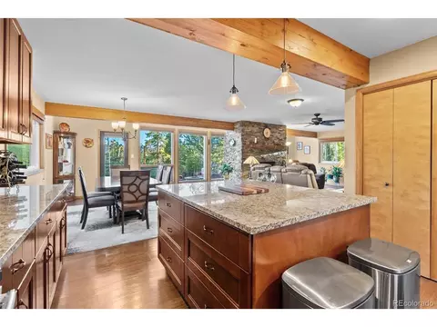 381 Highlands Dr, Bailey, CO 80421 photo 28