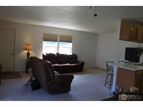 513 Broadview Dr, Severance, CO 80550 photo 4