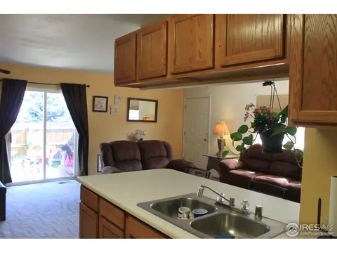 513 Broadview Dr, Severance, CO 80550 photo 3