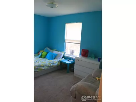 513 Broadview Dr, Severance, CO 80550 photo 6