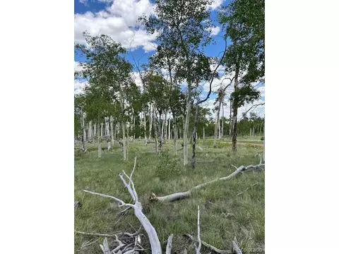807 Bolster Dr, Hartsel, CO 80449