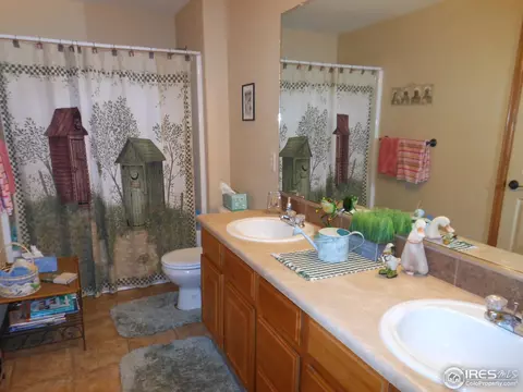 408 Ridgeview Ct, Johnstown, CO 80534 photo 19