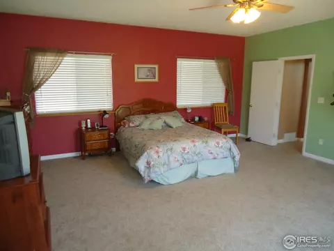 6800 Steven St, Windsor, CO 80550 photo 23
