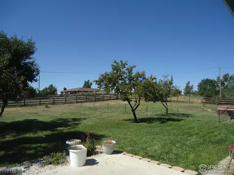 6800 Steven St, Windsor, CO 80550 photo 11
