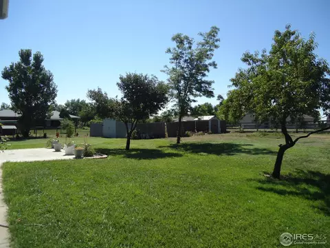 6800 Steven St, Windsor, CO 80550 photo 10