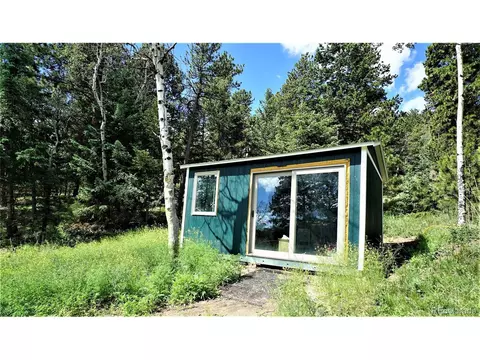 33456 Chimney Rnch, Pine, CO 80470 photo 9