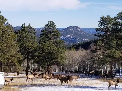 33456 Chimney Rnch, Pine, CO 80470 photo 14