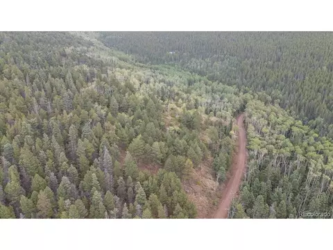 2260 Speciale Pl, Fort Garland, CO 81133