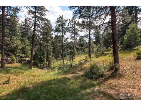 6453 Starlight Dr, Morrison, CO 80465 photo 21