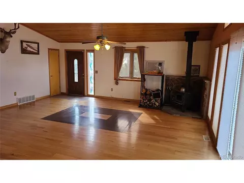 445 Rosalie Rd, Bailey, CO 80421 photo 7