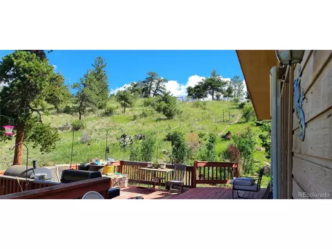 445 Rosalie Rd, Bailey, CO 80421 photo 11
