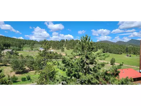 445 Rosalie Rd, Bailey, CO 80421 photo 10
