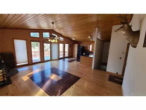 445 Rosalie Rd, Bailey, CO 80421 photo 5