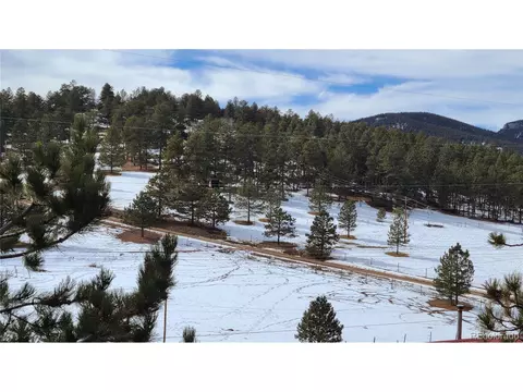 445 Rosalie Rd, Bailey, CO 80421 photo 17