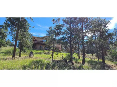 445 Rosalie Rd, Bailey, CO 80421