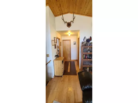445 Rosalie Rd, Bailey, CO 80421 photo 6