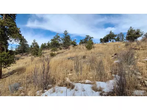445 Rosalie Rd, Bailey, CO 80421 photo 18
