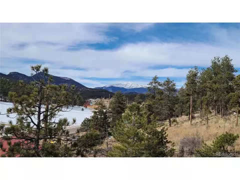 445 Rosalie Rd, Bailey, CO 80421 photo 3