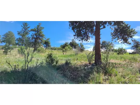 445 Rosalie Rd, Bailey, CO 80421 photo 9