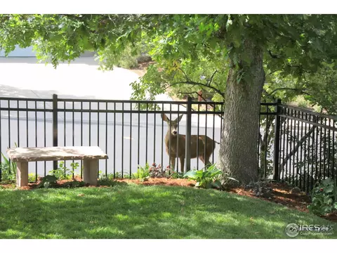 2530 Kohler Dr, Boulder, CO 80305 photo 25