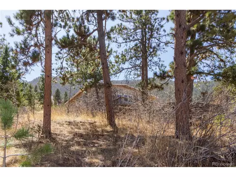 8885 Ute Rd, Cascade, CO 80809 photo 33