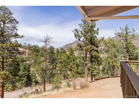 8885 Ute Rd, Cascade, CO 80809 photo 29
