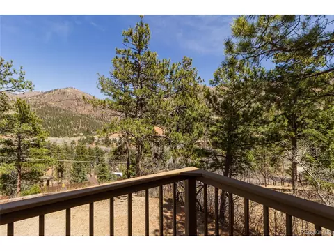 8885 Ute Rd, Cascade, CO 80809 photo 28