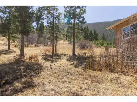 8885 Ute Rd, Cascade, CO 80809 photo 35