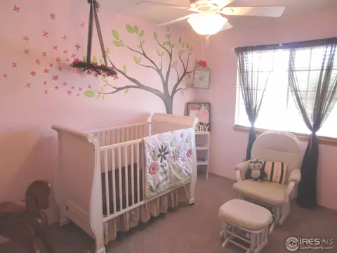 6401 Stagecoach Ave, Firestone, CO 80504 photo 11