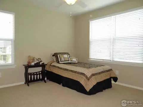 1658 Merton Ct, Windsor, CO 80550 photo 22