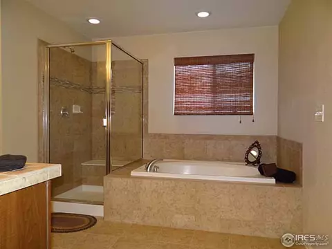 1658 Merton Ct, Windsor, CO 80550 photo 19