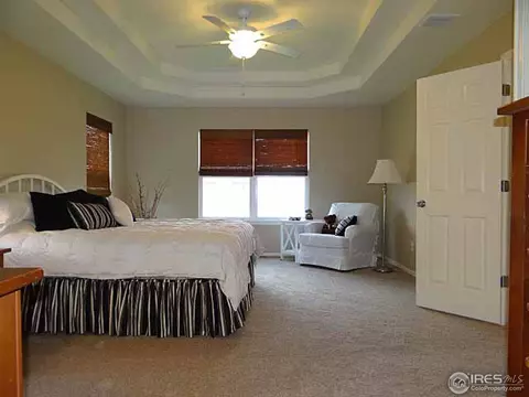 1658 Merton Ct, Windsor, CO 80550 photo 18