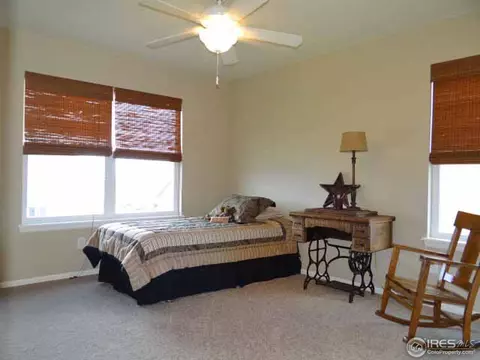 1658 Merton Ct, Windsor, CO 80550 photo 21