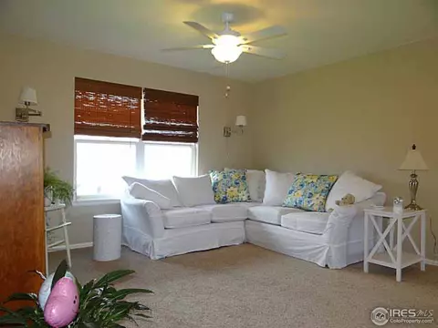1658 Merton Ct, Windsor, CO 80550 photo 17