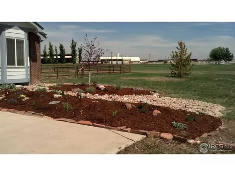2224 San Miguel Dr, Severance, CO 80550 photo 2
