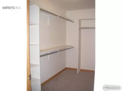 2224 San Miguel Dr, Severance, CO 80550 photo 10