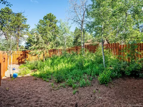 13386 S Otoe St, Pine, CO 80470 photo 32