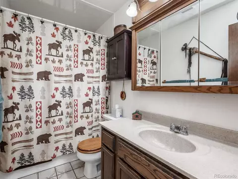 13386 S Otoe St, Pine, CO 80470 photo 16