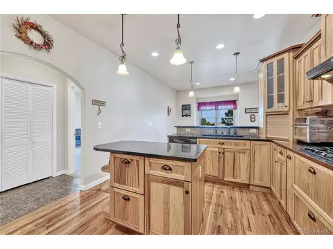 13922 Double Tree Cir, Elbert, CO 80106 photo 10