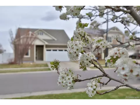 18709 E 47th Dr, Denver, CO 80249 photo 43